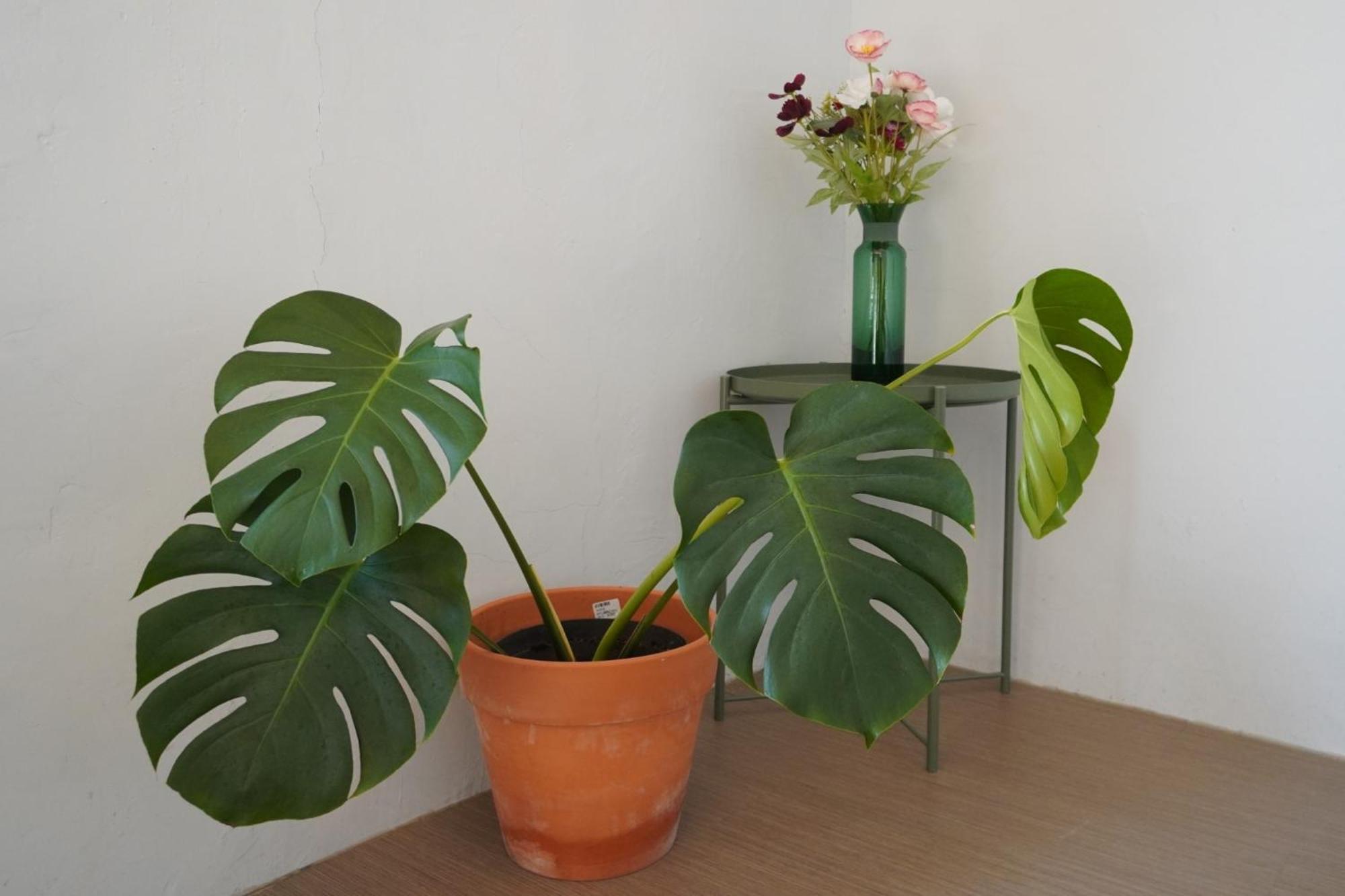 山森三室墾丁包棟民宿3Rooms Nanwan Esterno foto